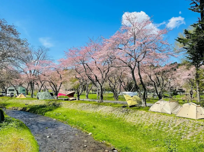 春ピクニック&お花見を10倍楽しむギア選びと注意点